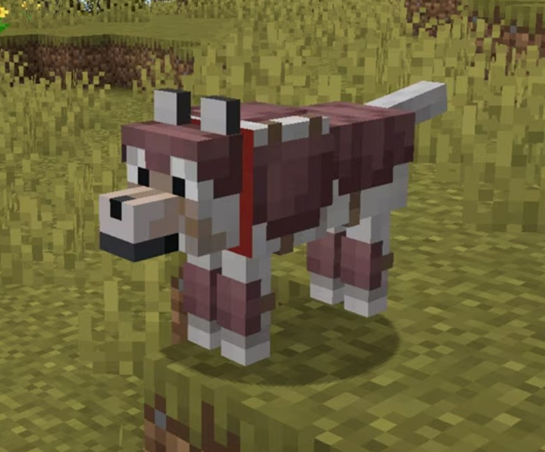 Minecraft's neue Wolfs-Rüstung erhält gemischte Reaktionen Titel