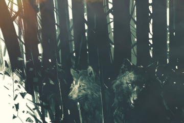 Neue Informationen über Spiel des The Witcher 3-Regisseurs Titel